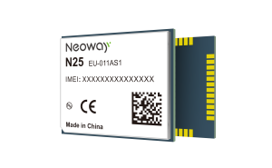 N25
